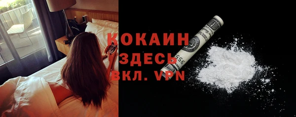 дурь Карпинск