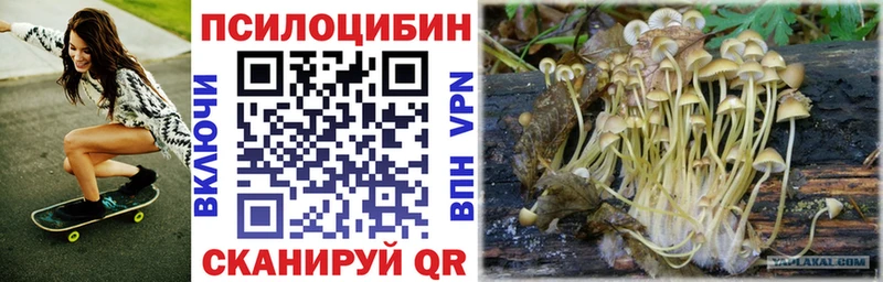 Псилоцибиновые грибы Cubensis Миллерово